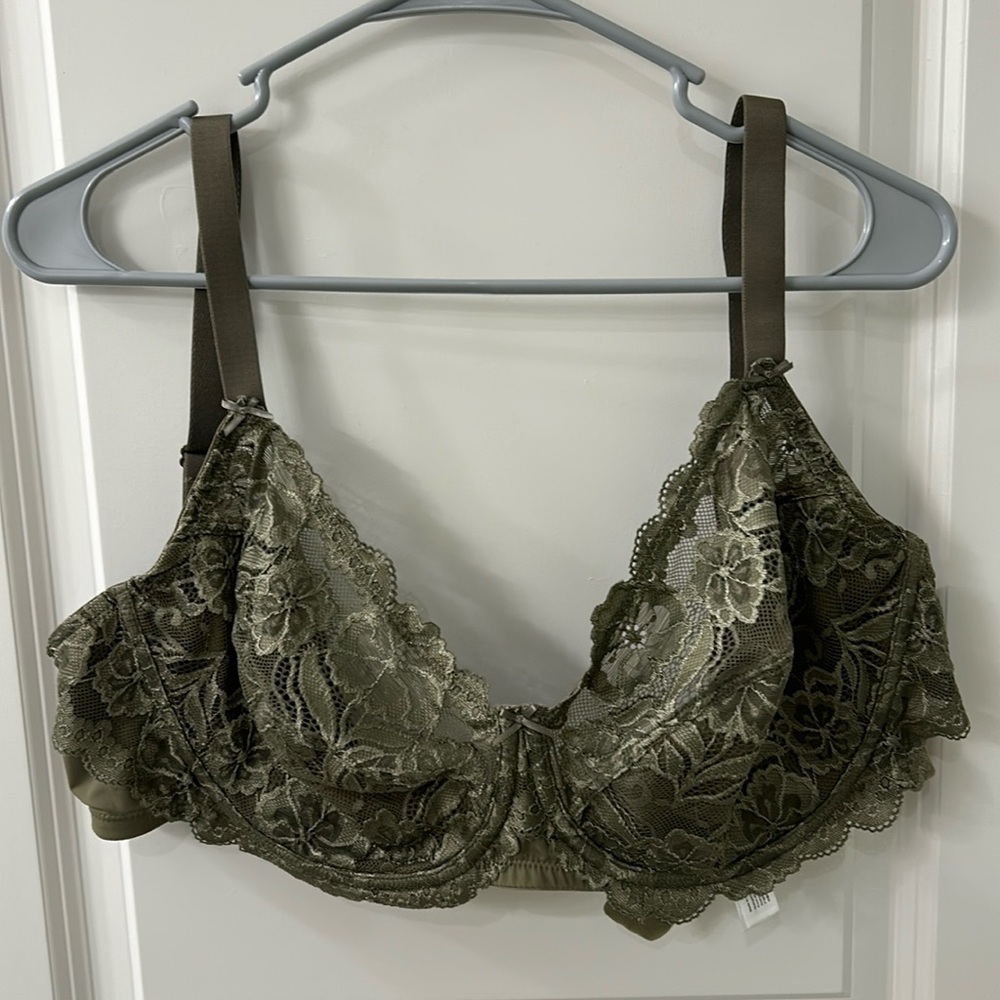 Delimira Plus Size Bra